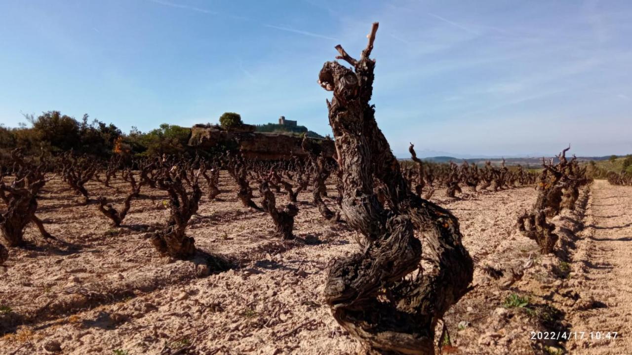 Apartamento El Guardaviñas, entre Montes y Viñedos Ábalos Exterior foto