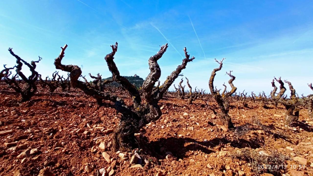 Apartamento El Guardaviñas, entre Montes y Viñedos Ábalos Exterior foto