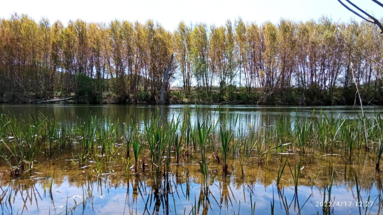Apartamento El Guardaviñas, entre Montes y Viñedos Ábalos Exterior foto