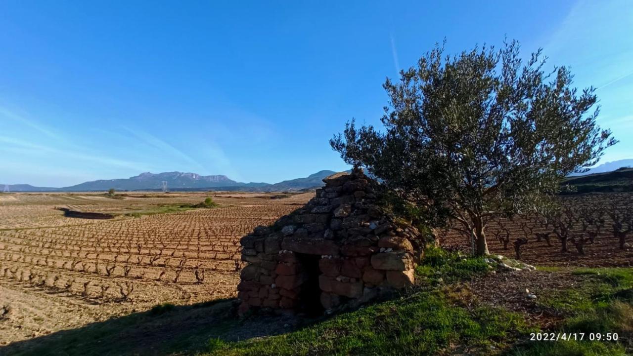 Apartamento El Guardaviñas, entre Montes y Viñedos Ábalos Exterior foto