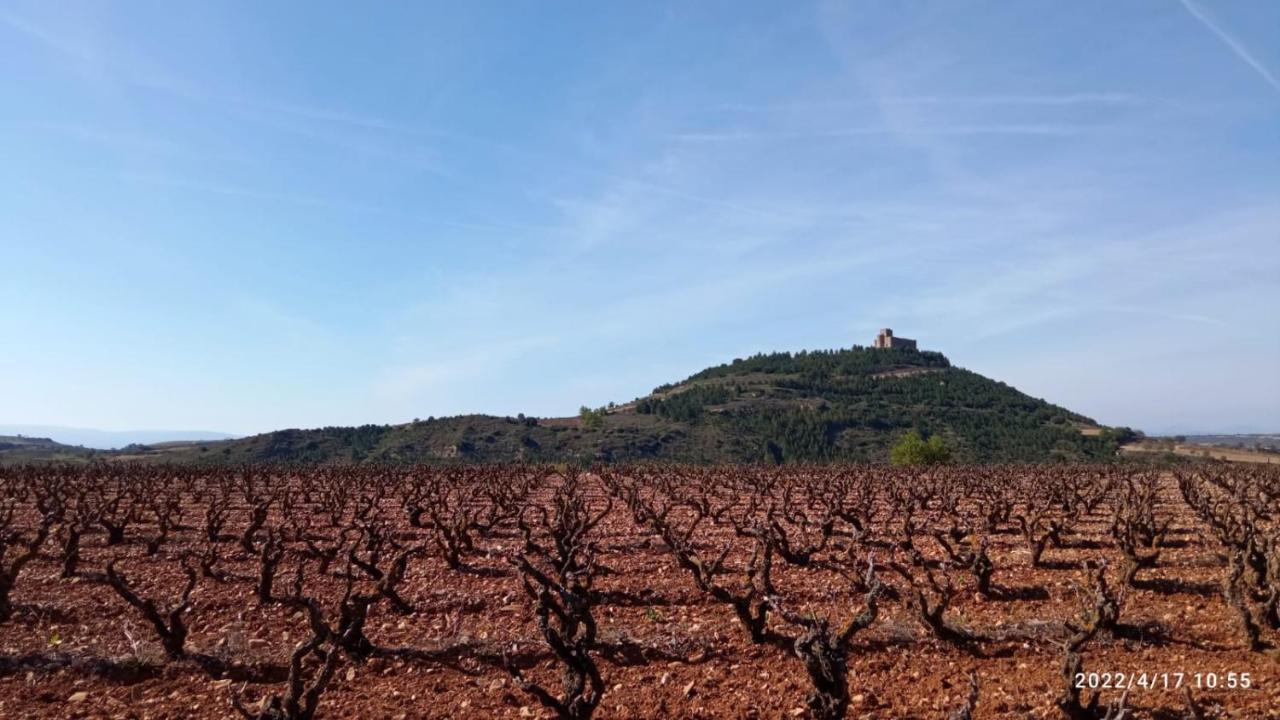 Apartamento El Guardaviñas, entre Montes y Viñedos Ábalos Exterior foto